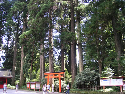 箱根神社