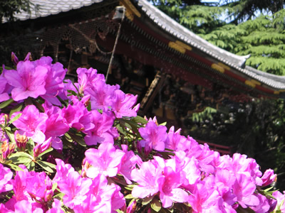 根津神社